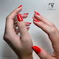 Colour Gel Classic Red 5g GN - Lovli 