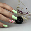 Colour Gel Pastel Green 5g GN - Lovli 