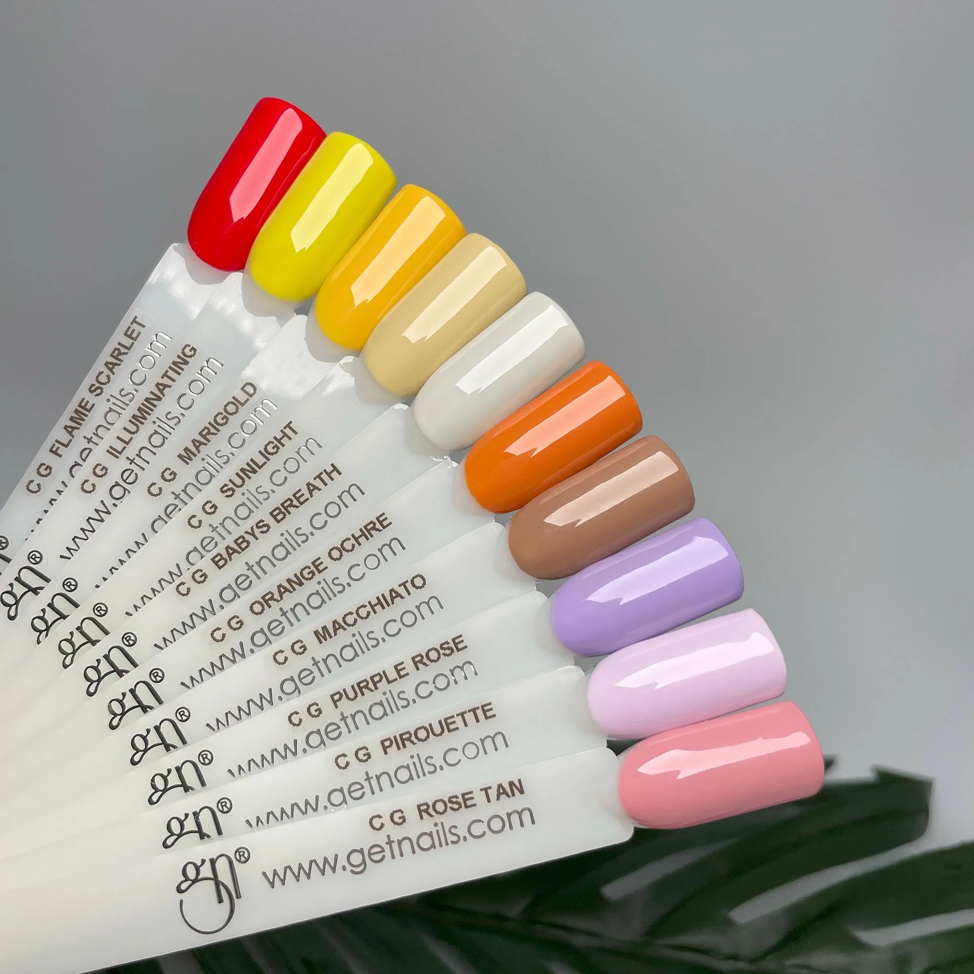 Colour Gel Purple Rose 5g GN - Lovli 