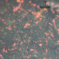 Illusion flakes gel 50g - Lovli 