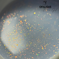 Opalique Flakes gel 50g - Lovli 